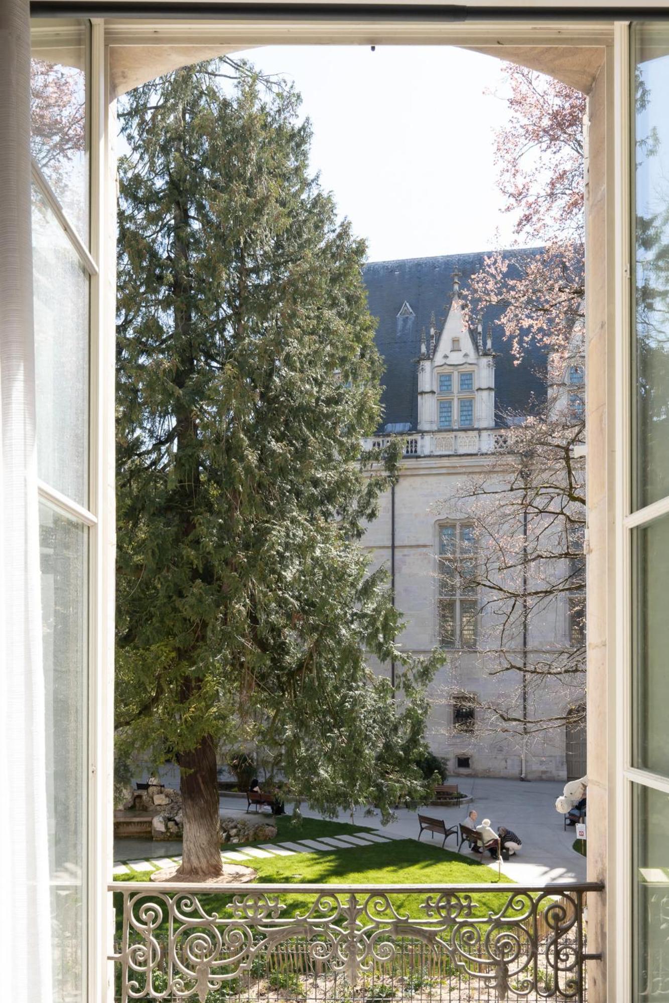 Appartement La Chouette Des Ducs, En Hypercentre Dijon